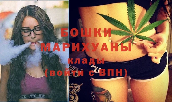 сатива Няндома