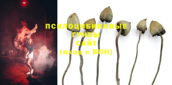 apvp Абаза