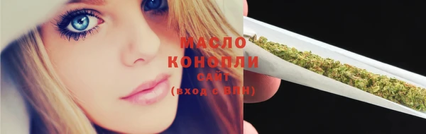 сатива Няндома