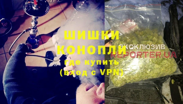 сатива Няндома
