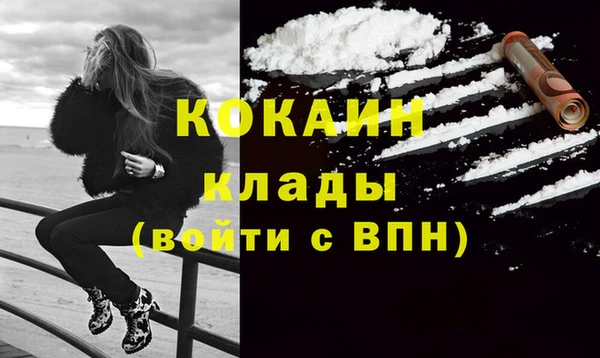 сатива Няндома