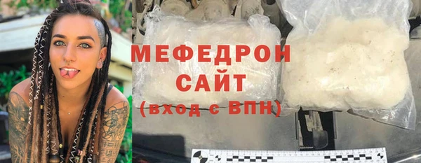 сатива Няндома