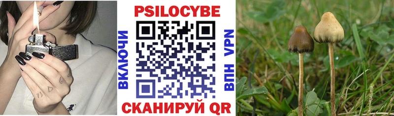Псилоцибиновые грибы MAGIC MUSHROOMS  где можно купить наркотик  Нестеровская 